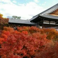 Best Momiji Viewing Places in Kyoto